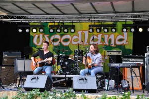 Bild vom Woodland Open-Air 2015, in Leisel