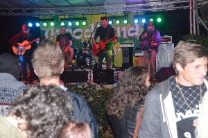 Bild vom Woodland Open-Air 2015, in Leisel