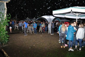 Bild vom Woodland Open-Air 2015, in Leisel