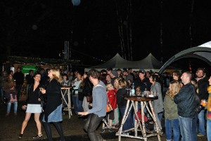 Bild vom Woodland Open-Air 2015, in Leisel