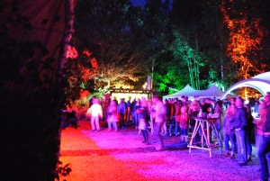 Bild vom Woodland Open-Air 2015, in Leisel