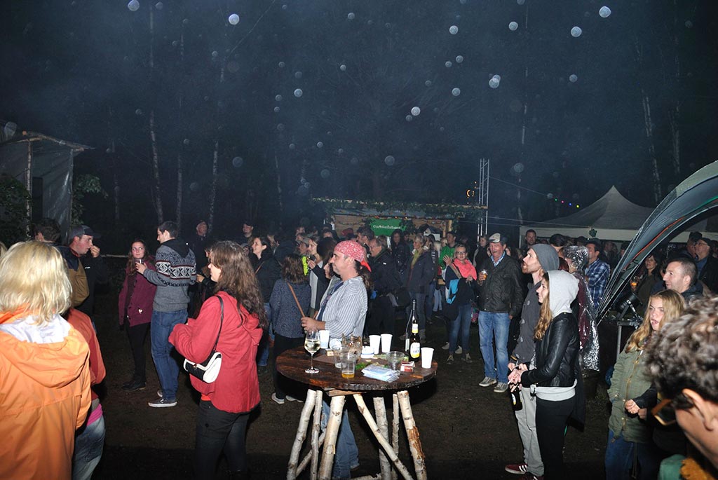 Bild vom Woodland Open-Air 2015, in Leisel