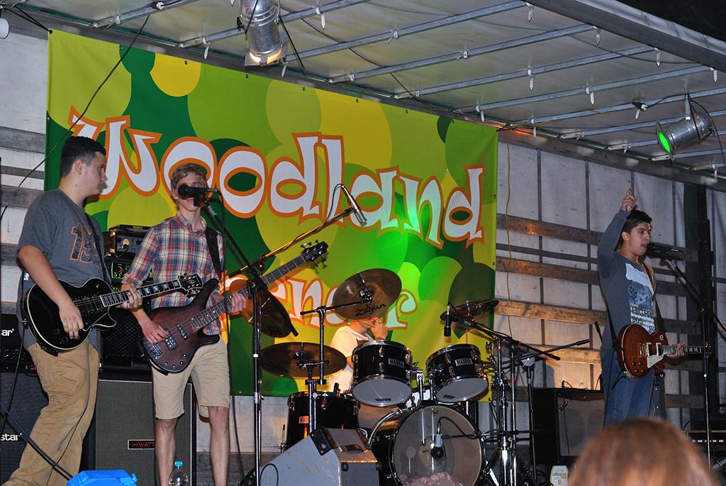 Bild vom Woodland Open-Air 2013, in Leisel